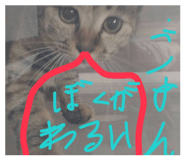 837925122