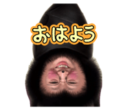 837925792