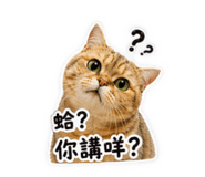 837925907