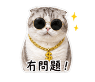 837926355