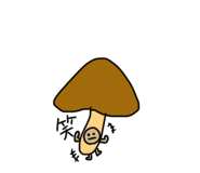 837927637