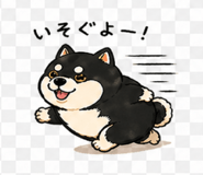 837927856