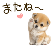 837928476
