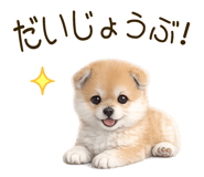 837928496