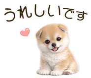 837928499