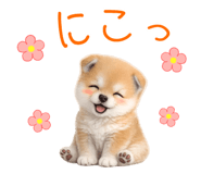 837928501