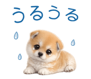 837928503