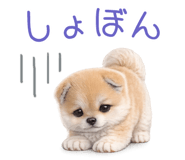 837928504