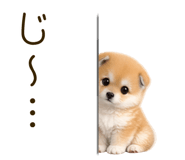 837928505