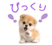 837928507
