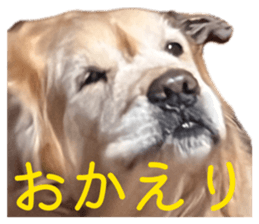 837929744
