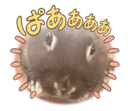 837929831