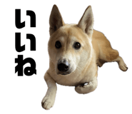 837930024