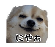 837930269