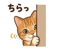 837932075