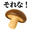 837948706