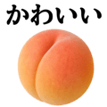 837948716
