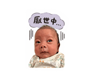 837949537