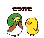 837950278