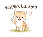 837953422