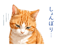 837954324