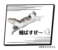 837954852