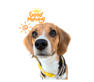 837956015
