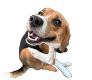 837956032