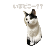 837968112