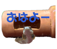 837968137
