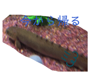 837968139
