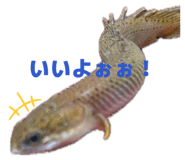 837968143