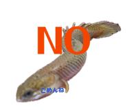 837968144