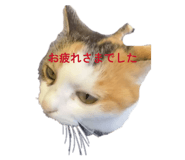 837968205