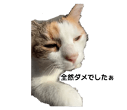 837968206