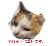 837968208
