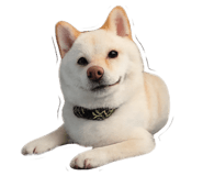 837968313