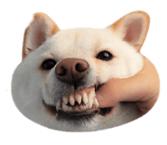 837968314