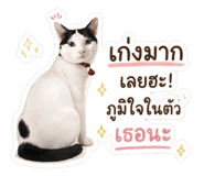 837985404
