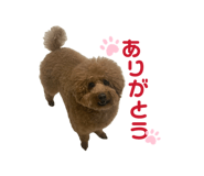 837985651