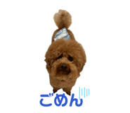 837985655
