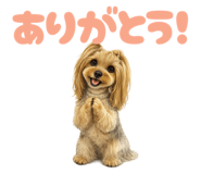 837986899