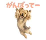 837986903