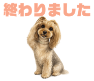 837986911