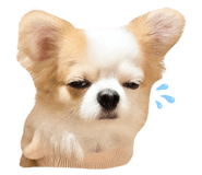 837989185