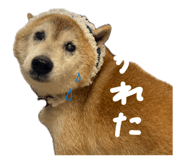 837990422