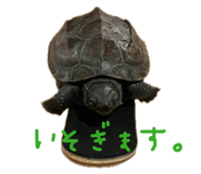 837990432
