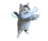 837990436