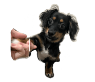 837990437