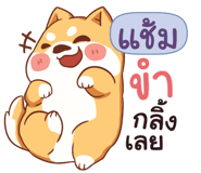 837993713